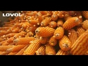 youtube - [Video]